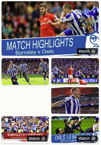 Screenshot from Perplexity showing pictures and videos relating the search