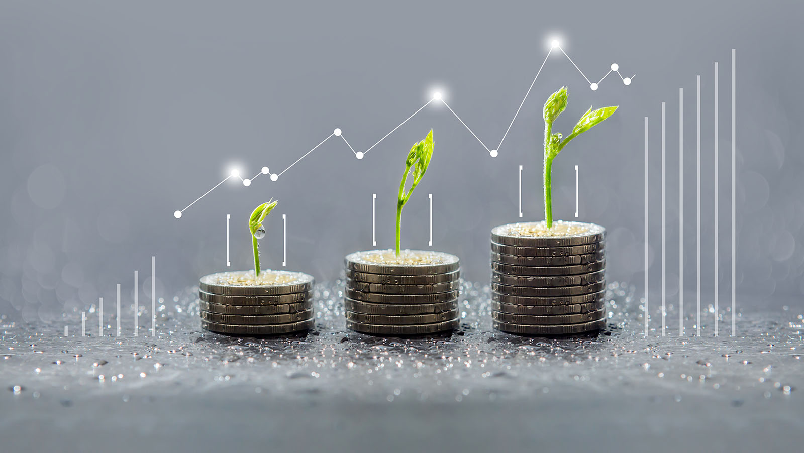 Piles of coins with green shoots indicating funding opportunities to inspire growth